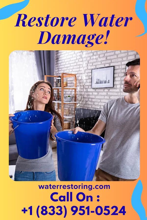 water restoration Elite Water Mitigation & Associates Orangeville