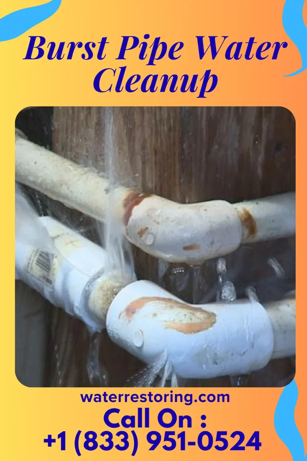Burst Pipe Water Cleanup in Orangeville, OH