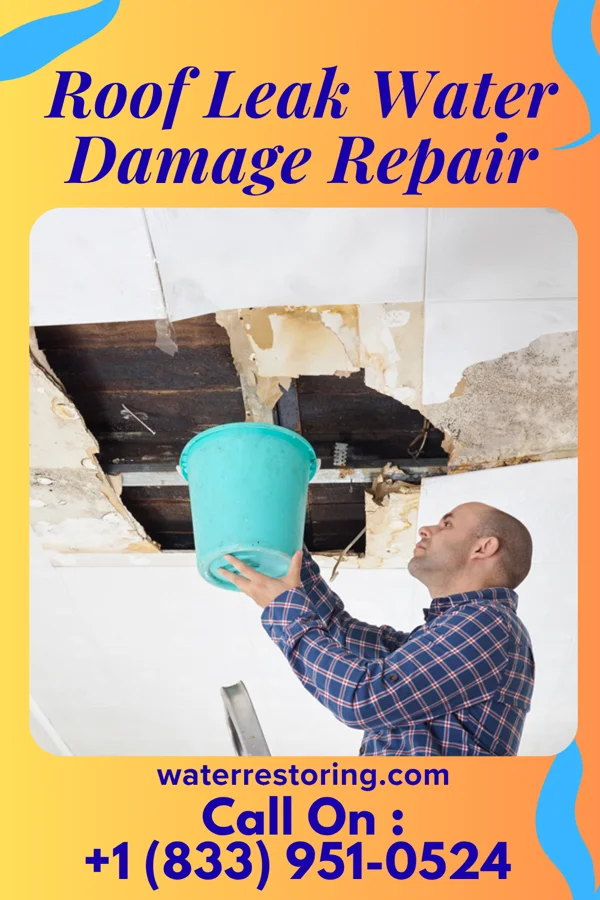 Roof Leak Water Damage Repair in Orangeville, OH