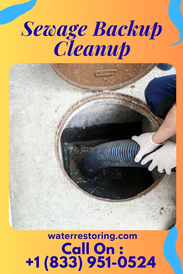 Sewage Backup Cleanup in Orangeville, OH