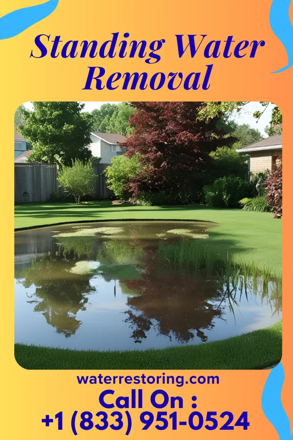 Standing Water Removal in Orangeville, OH